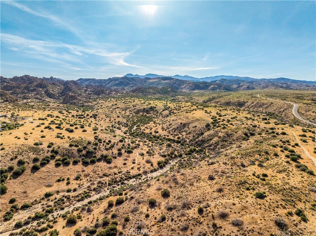 Picture 25