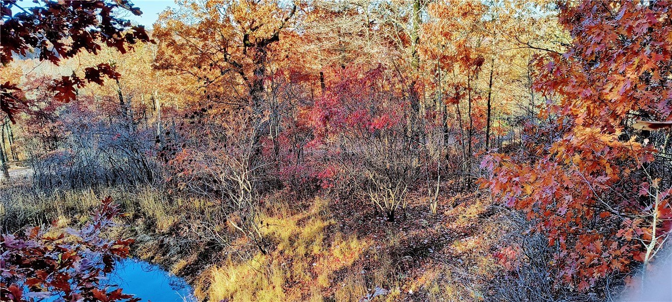 Secluded Ozark Hunting Land