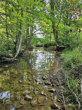 Greenville, WV Vacant Land
