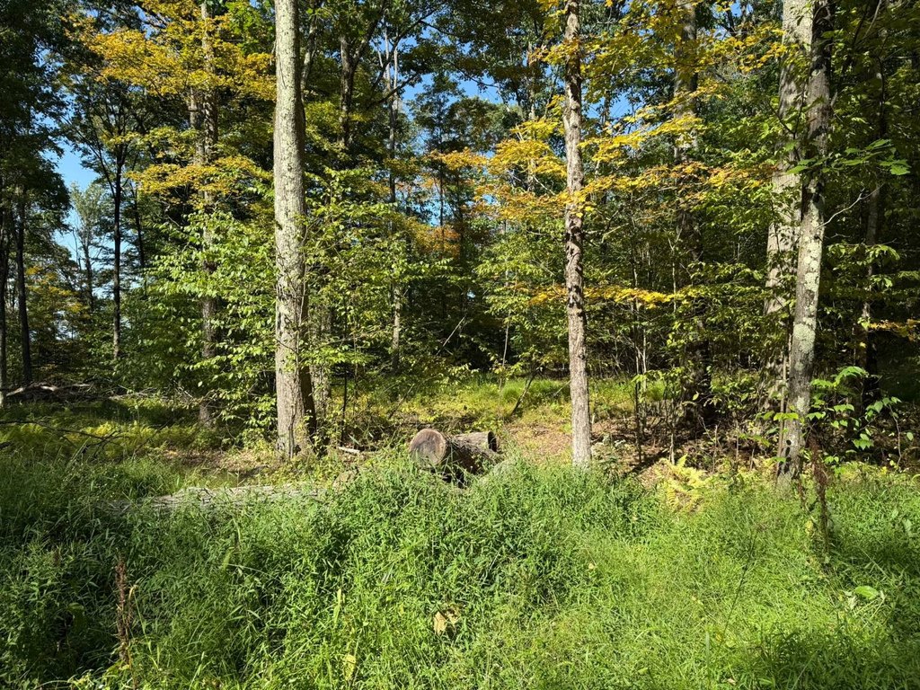 Picture 26