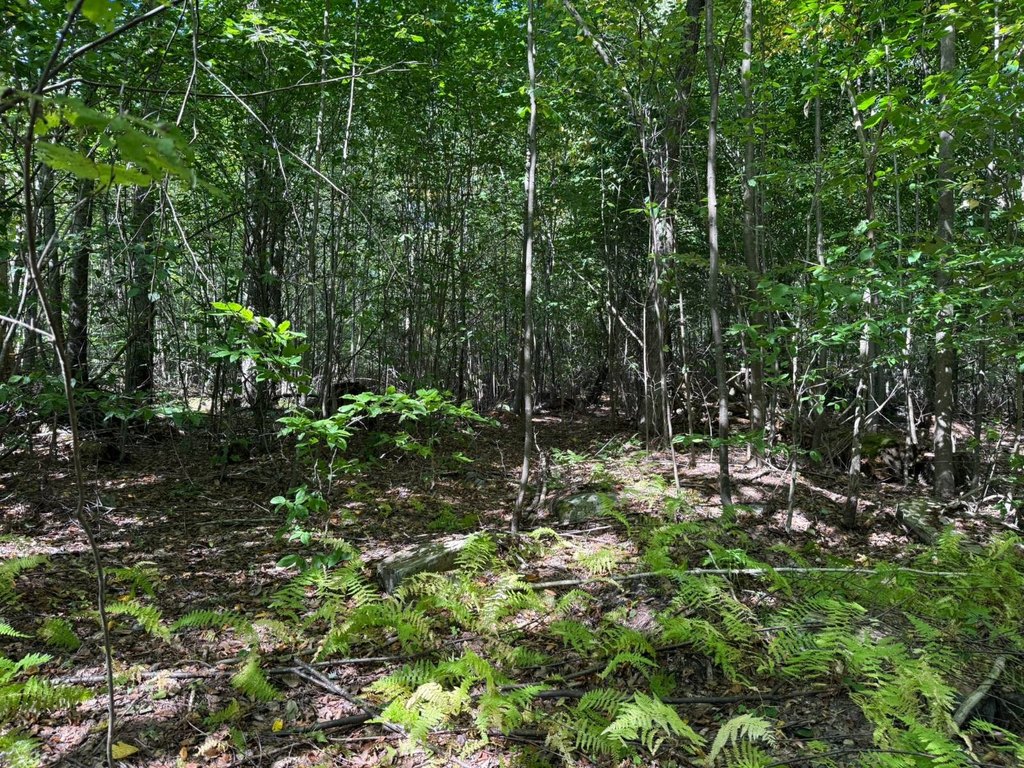 Picture 27