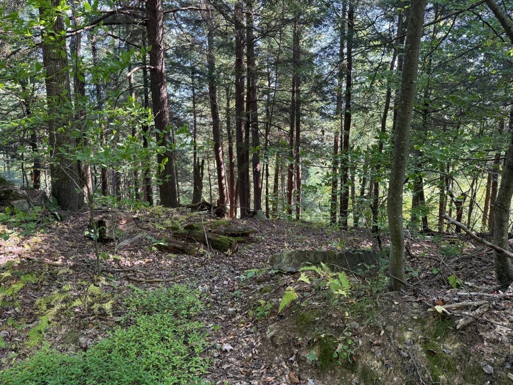 Picture 16