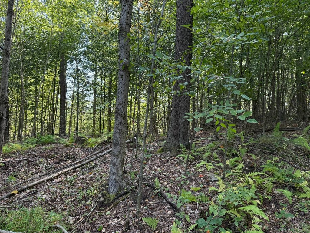 Picture 41