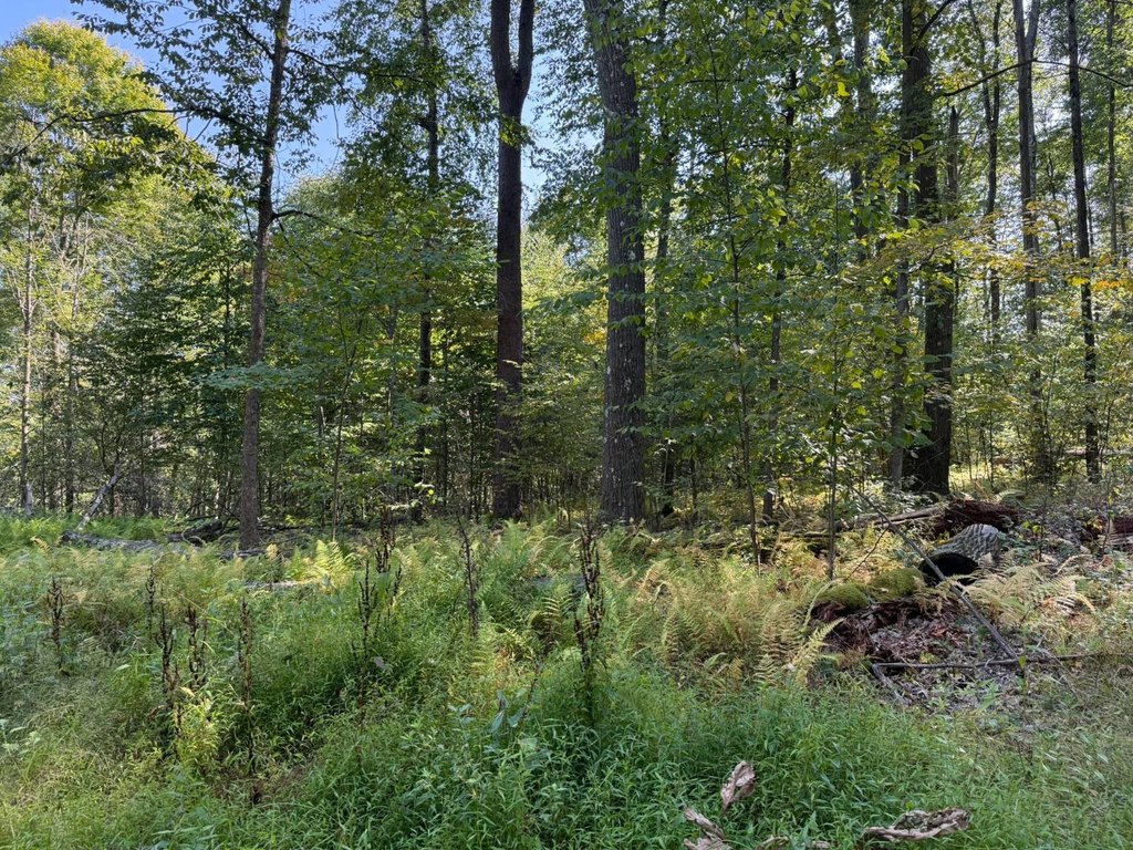 Picture 30