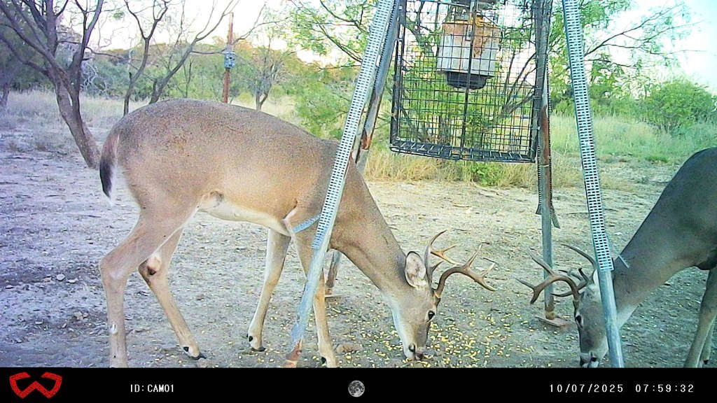 Picture 3