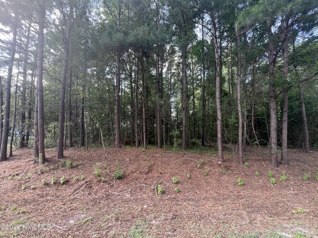 Picture 14