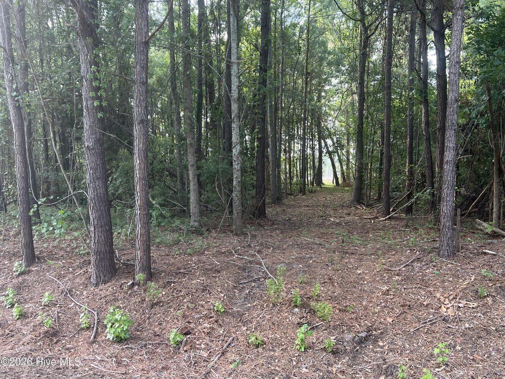Picture 15