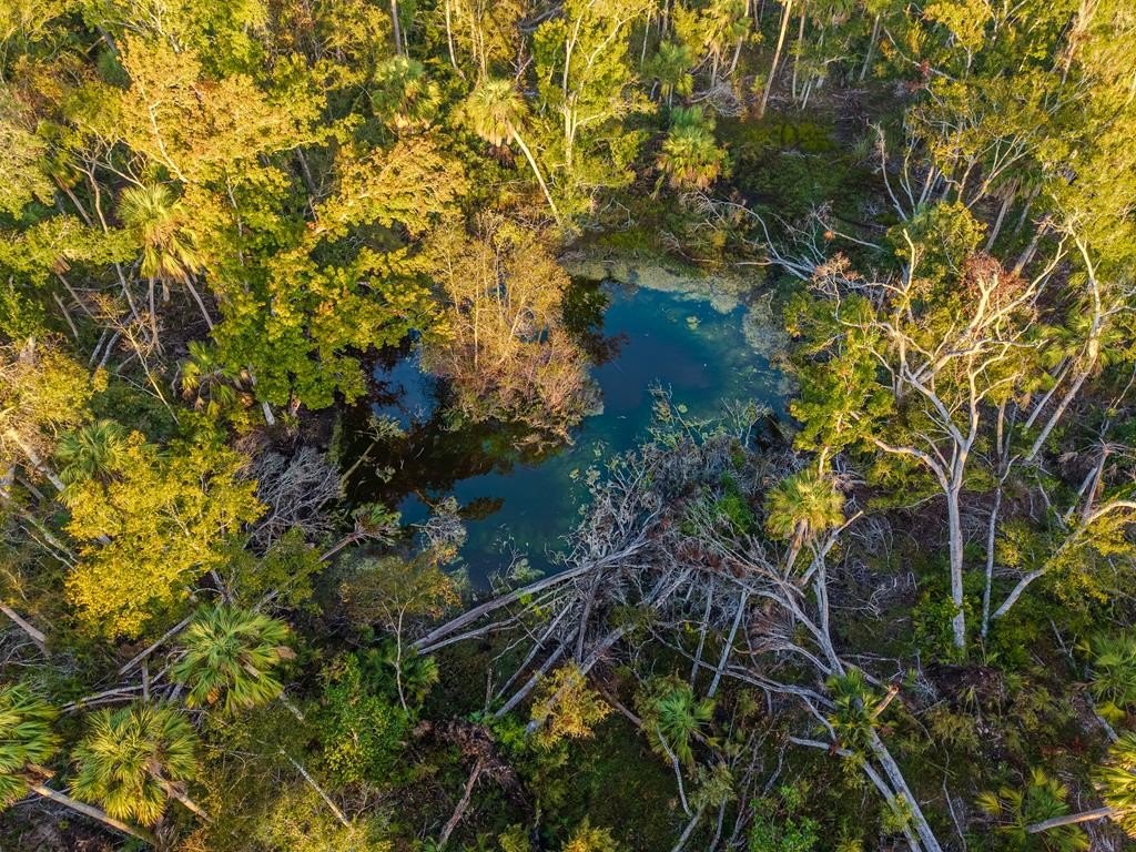 40 Acres in Horseshoe Beach
