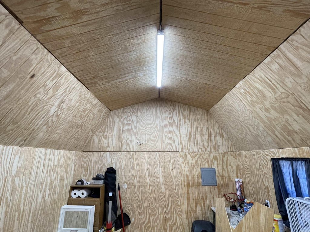 Picture 6