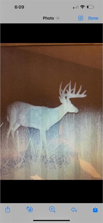 Picture 40