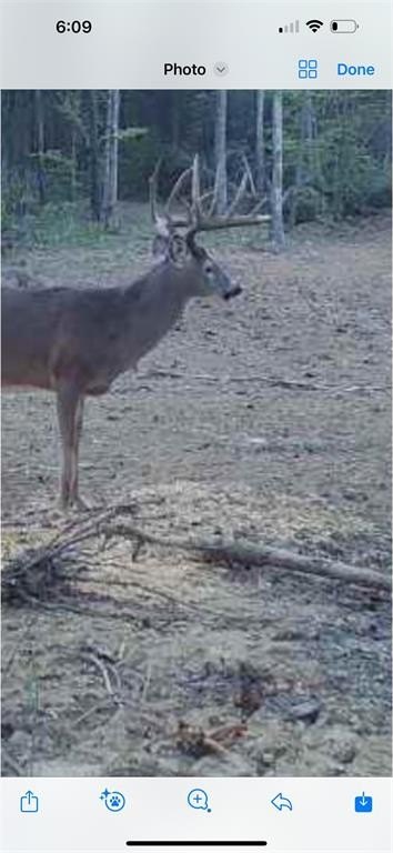 Picture 38