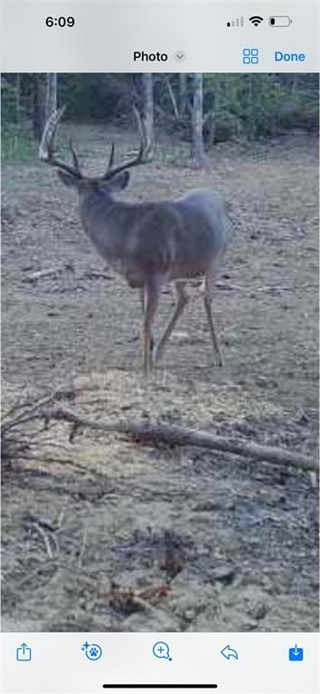 Picture 39