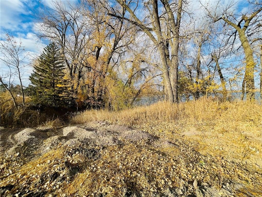 Picture 15