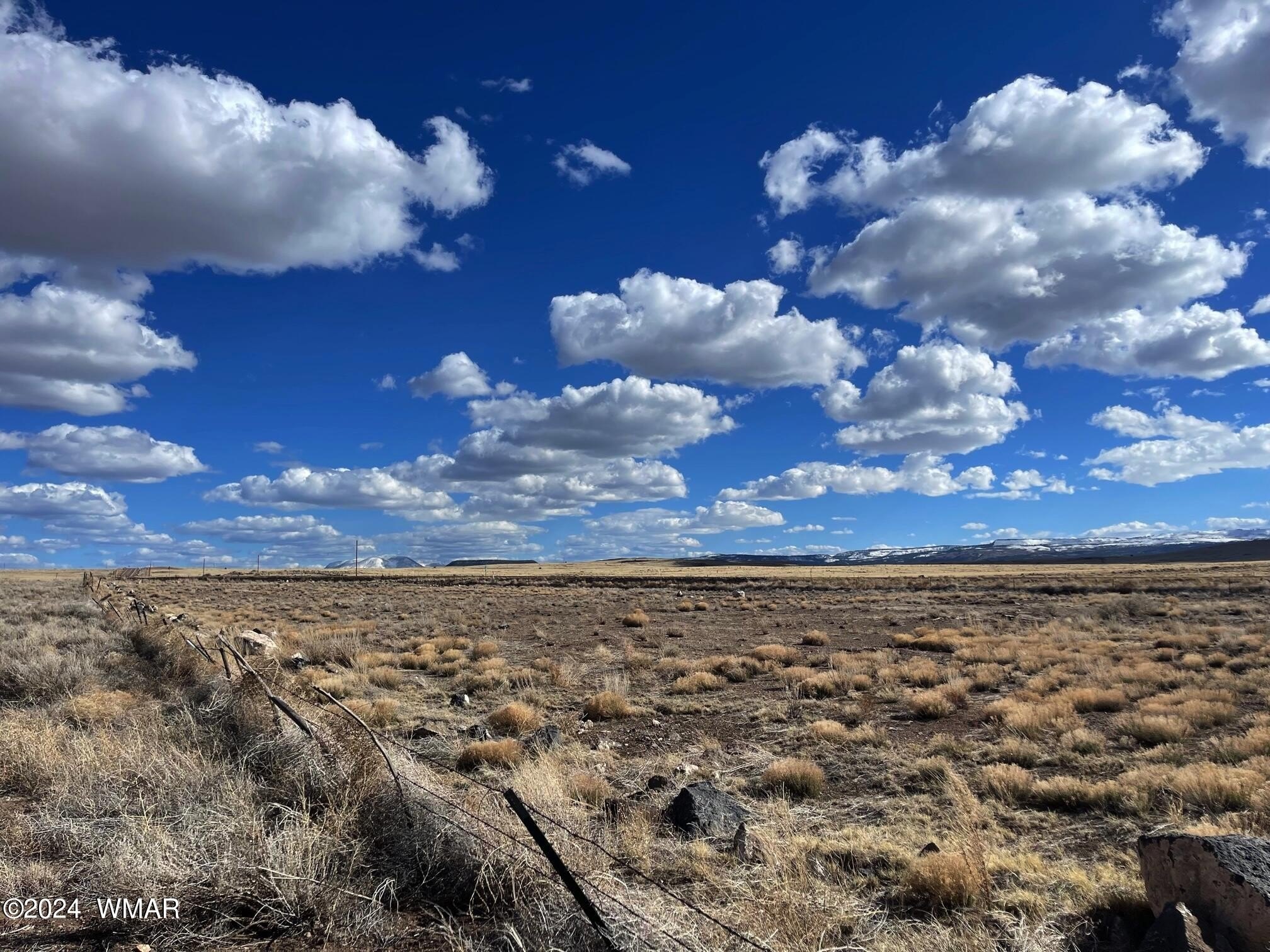 Highway Frontage Land in Springerville
