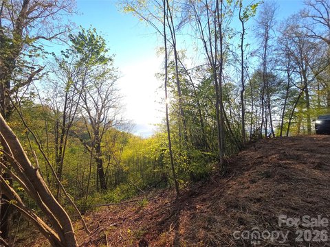 Waynesville Land with Mountain Views