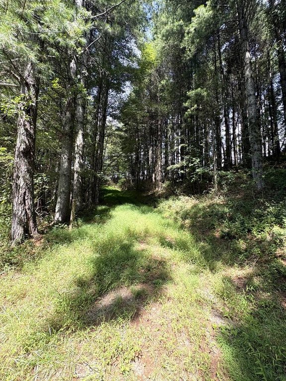 Picture 21