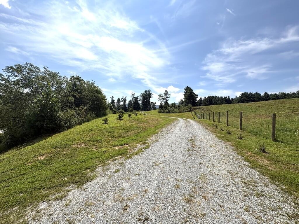 Picture 23