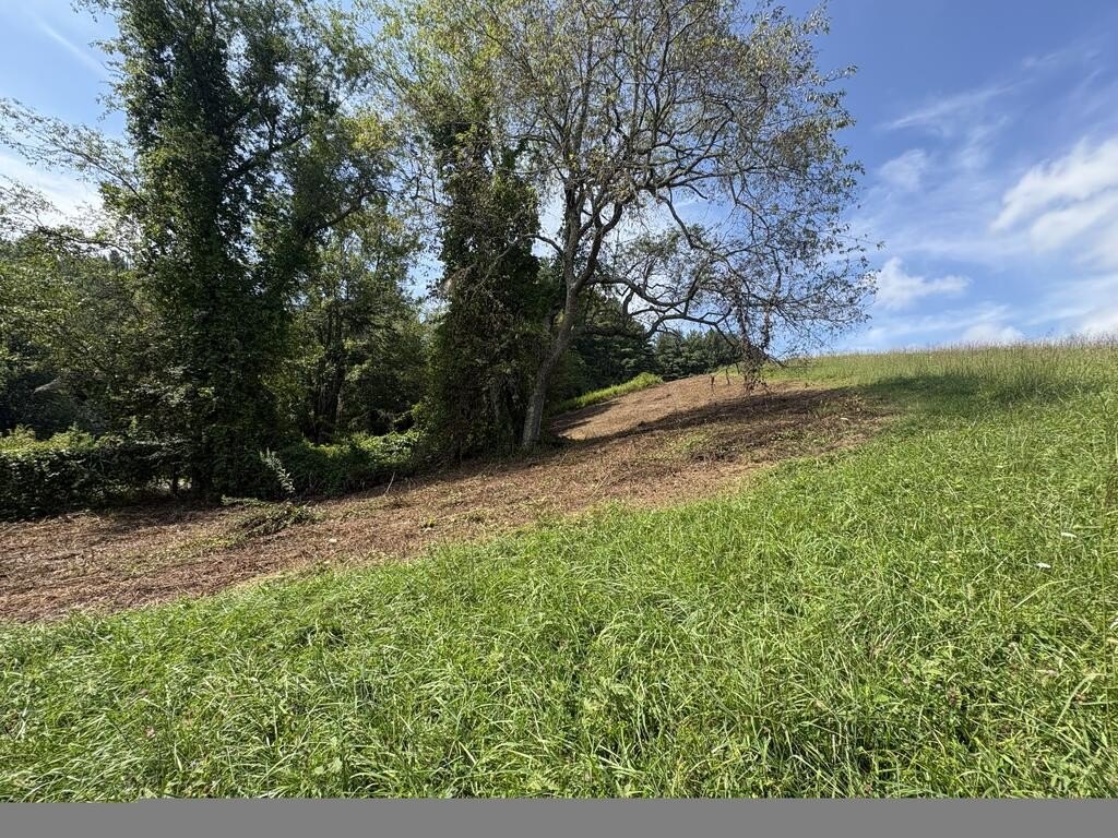 Picture 18
