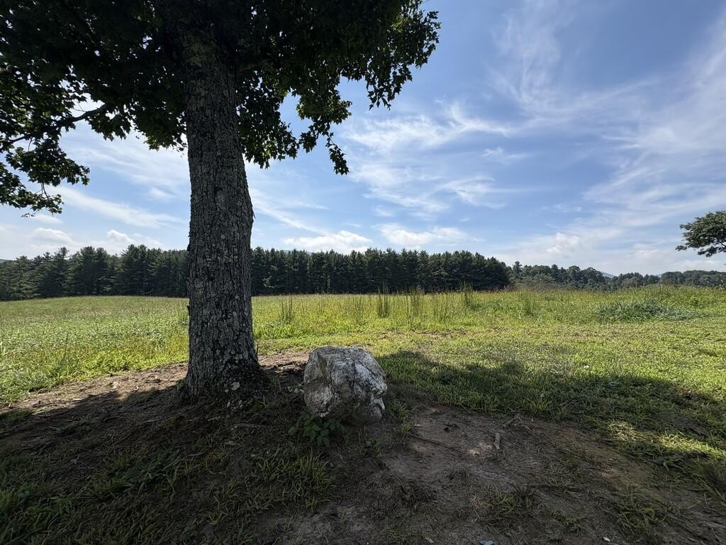 Picture 42