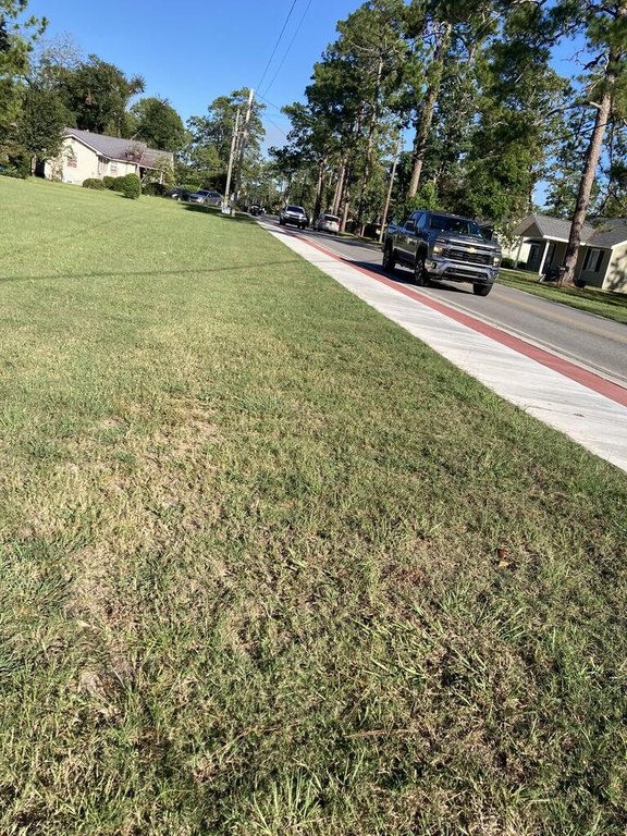 Picture 5