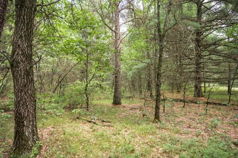 Lots & Acreage, Necedah, WI
