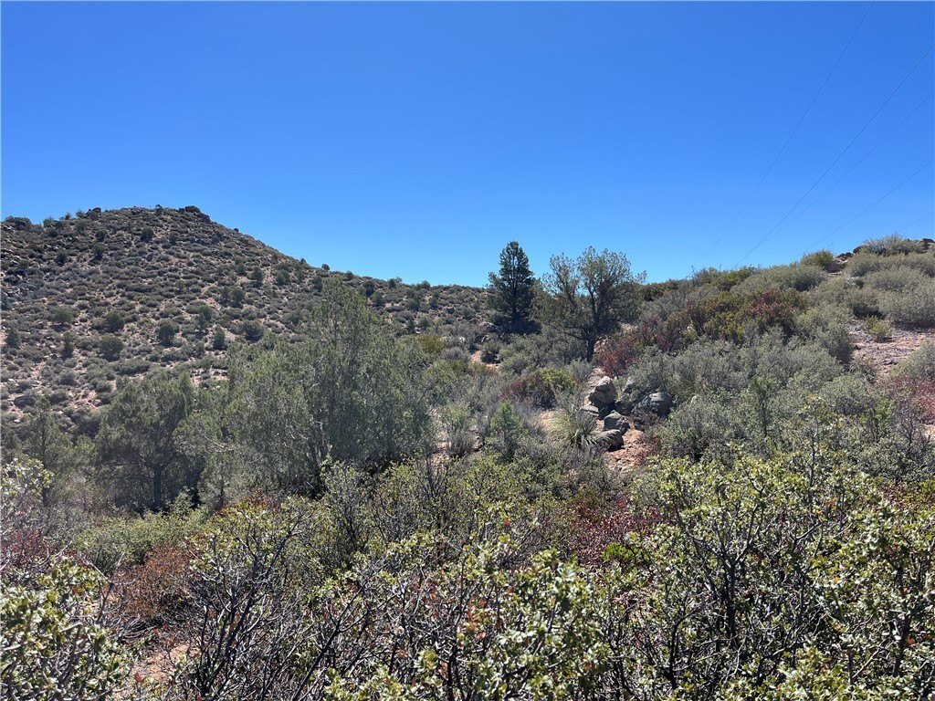 Kingman Land for Camping, Homesite