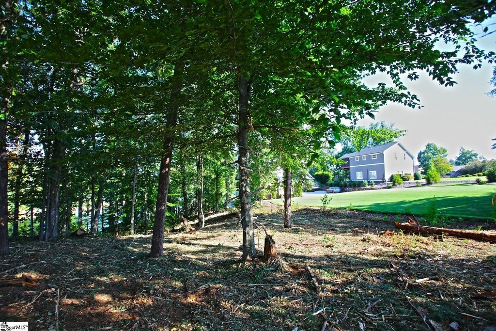 Picture 33
