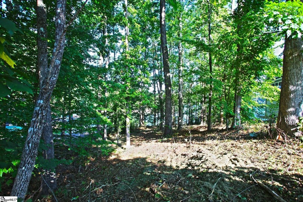 Picture 28