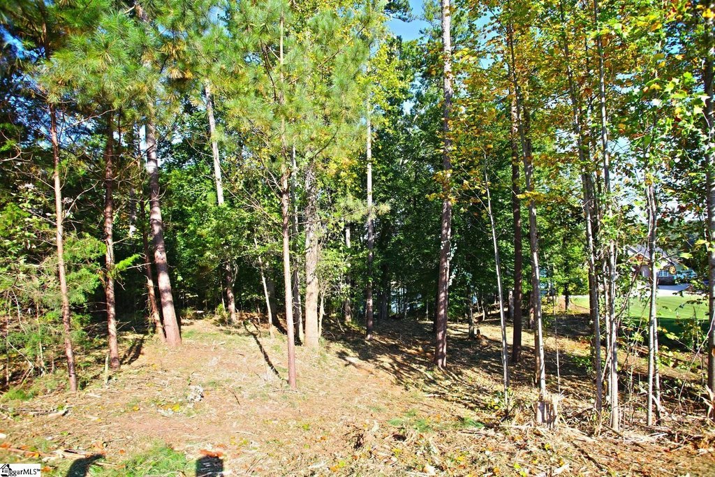 Picture 38