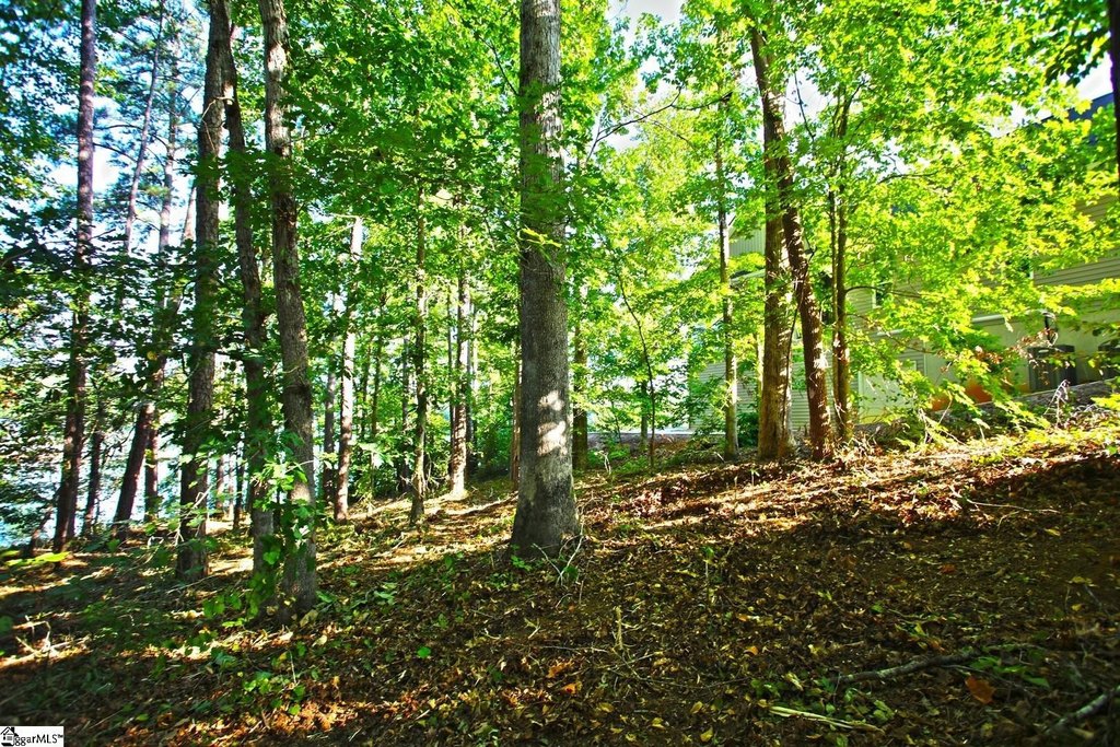 Picture 26