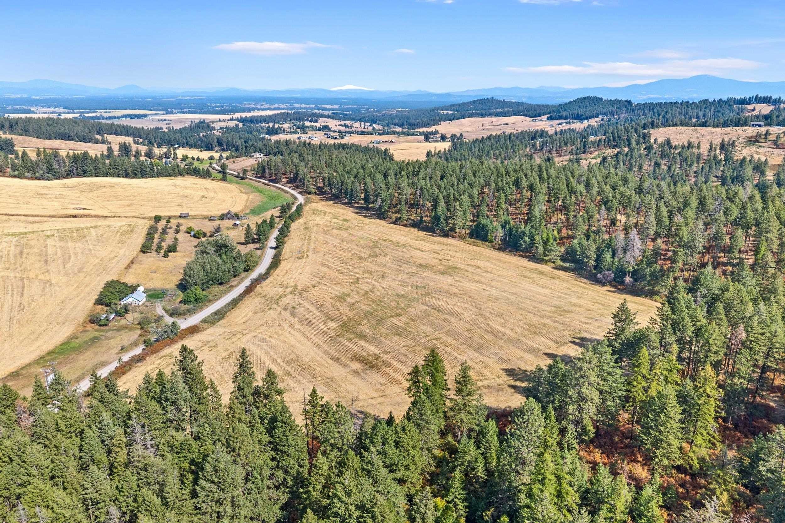 55 Acres of Spokane Land
