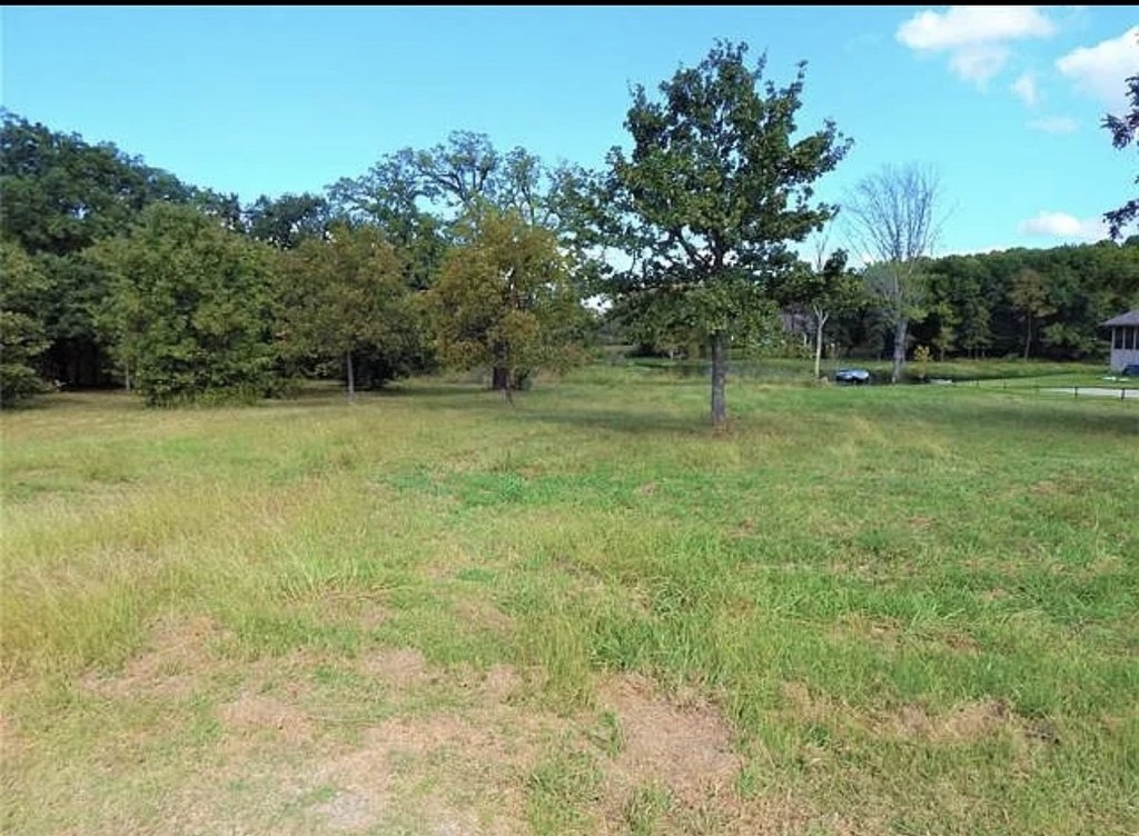 Picture 13