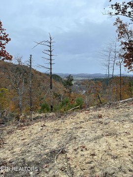 LAND - Tellico Plains, TN