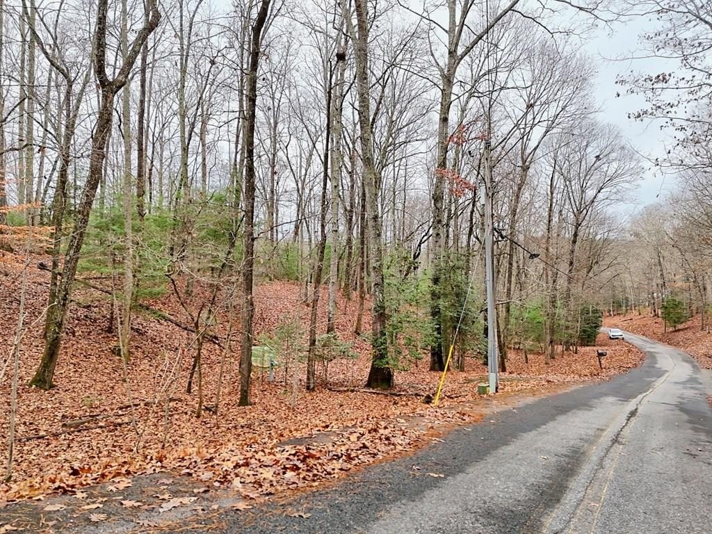 Blairsville, GA Wooded Lot