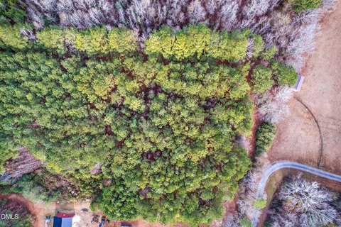 Wooded Acreage with No HOA
