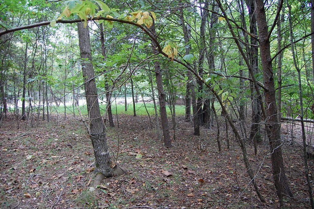 Picture 13