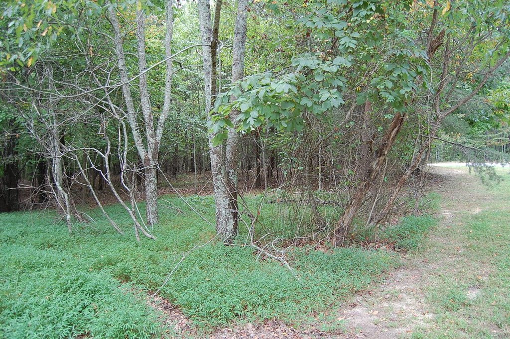 Picture 9