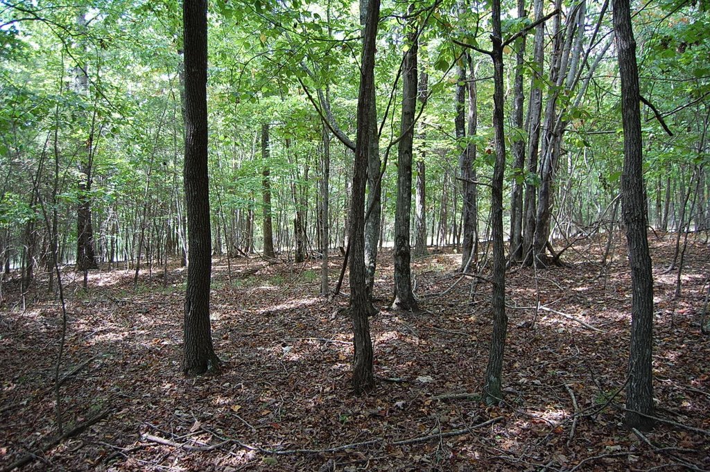 Picture 24