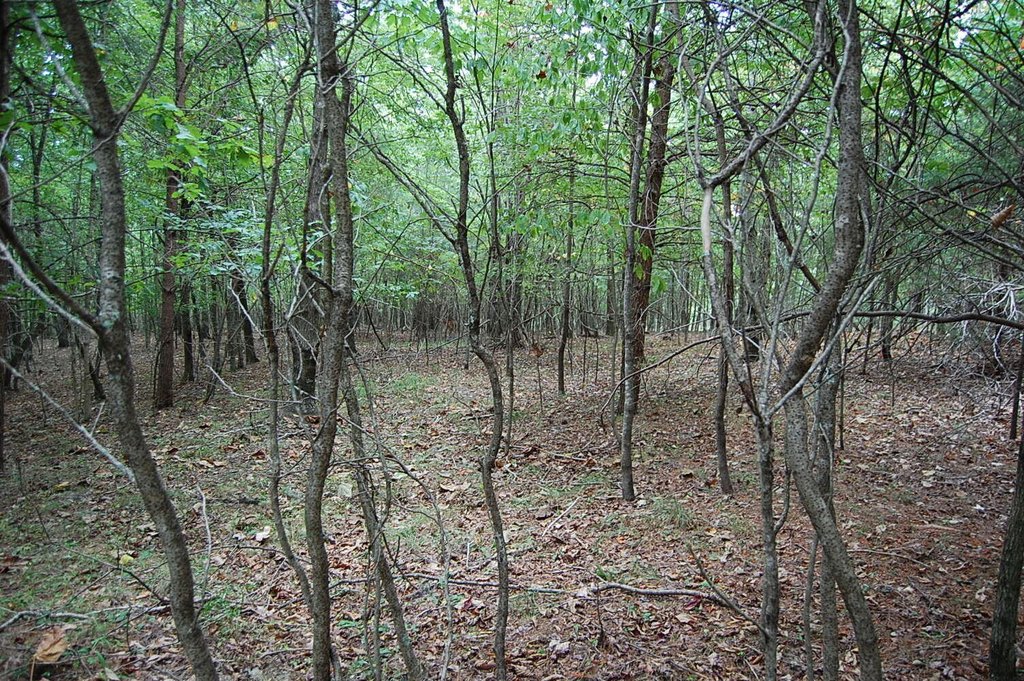 Picture 12