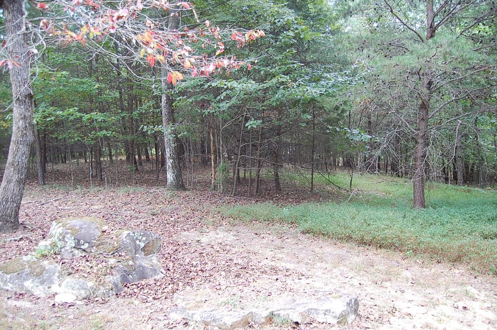 Picture 7
