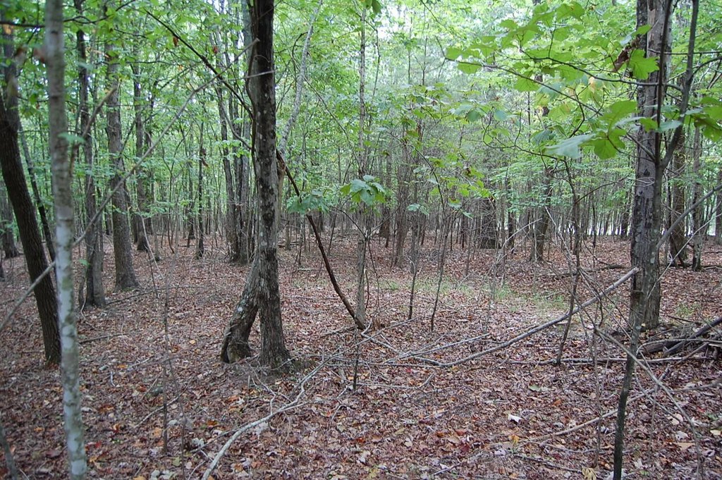 Picture 17