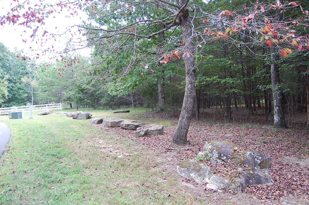 Picture 6
