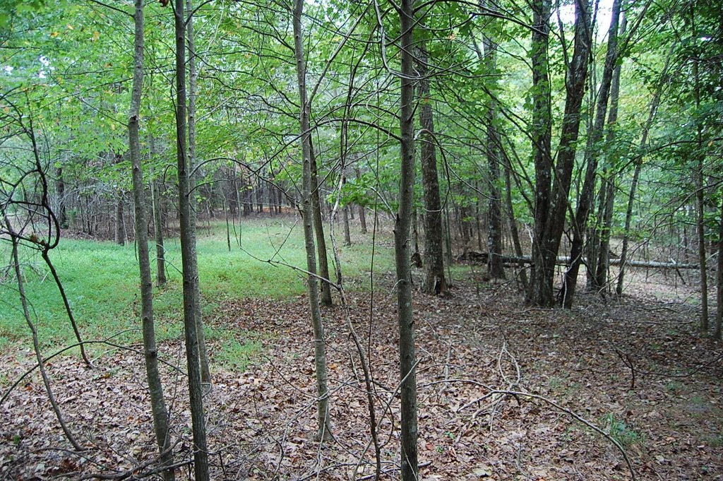 Picture 10