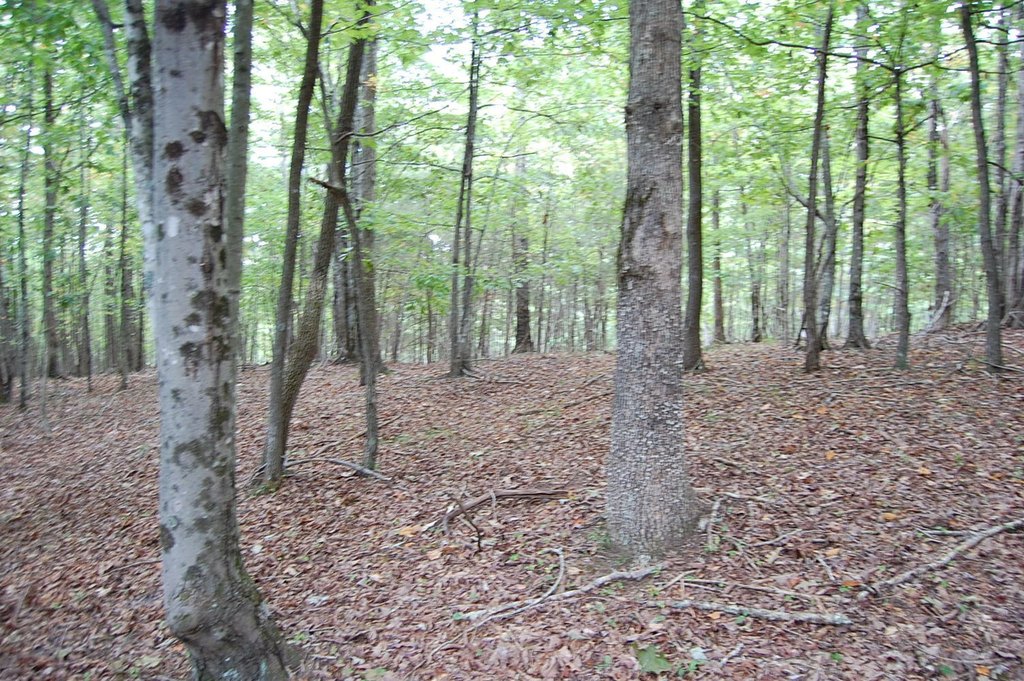 Picture 23