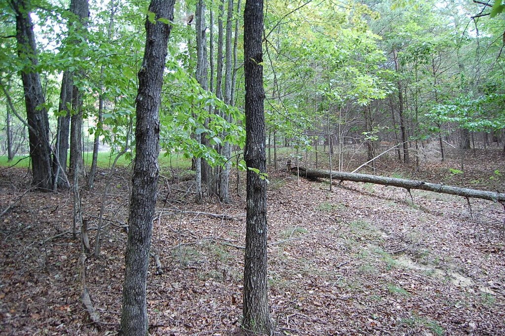 Picture 19