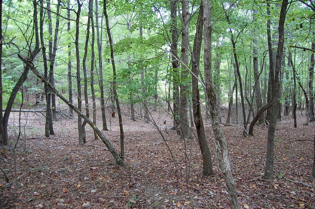 Picture 15