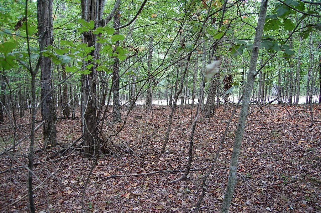 Picture 18