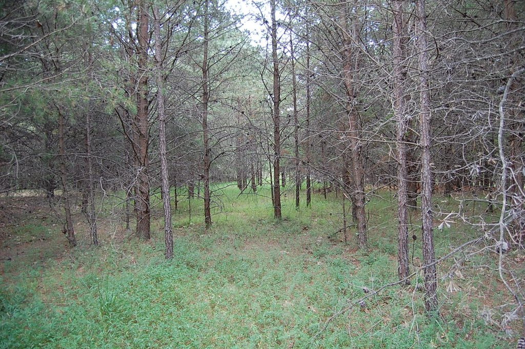 Picture 4