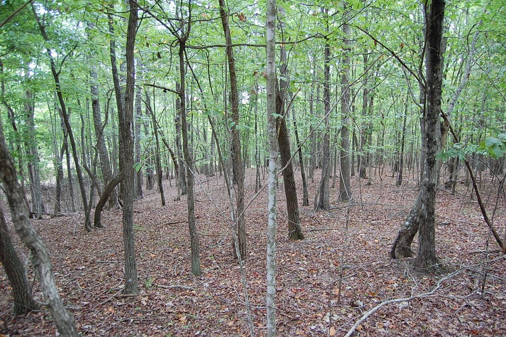 Picture 16