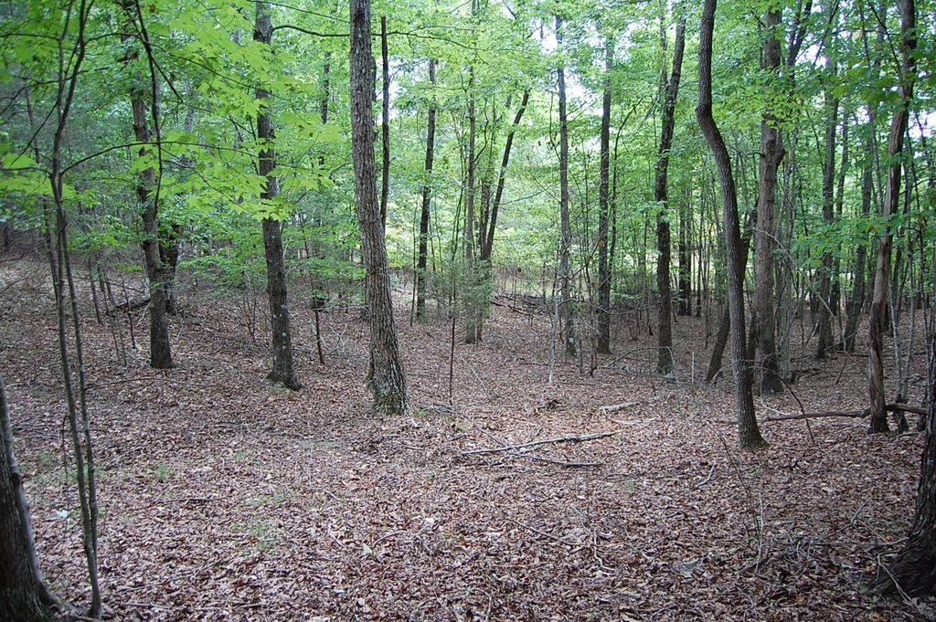 Picture 21
